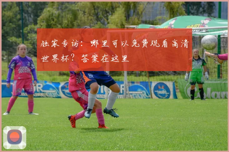 独家专访：哪里可以免费观看高清世界杯？答案在这里