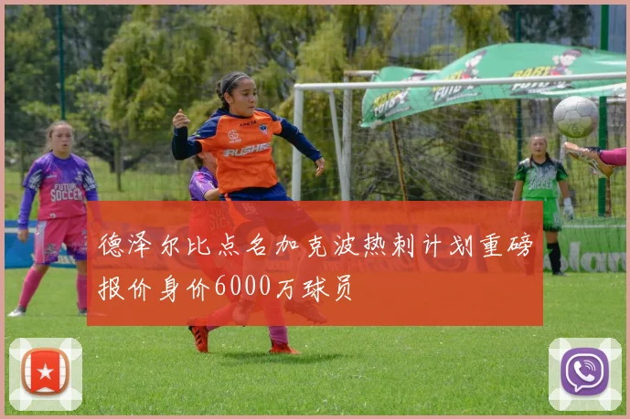 德泽尔比点名加克波热刺计划重磅报价身价6000万球员